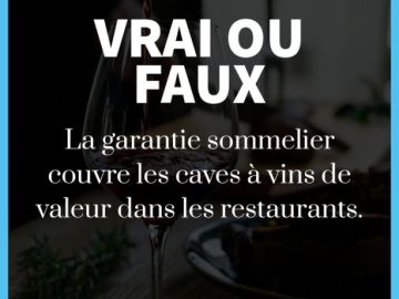 Dans le monde de la restauration, la protection de votre investissement est cruciale. Avant de souscrire une assurance, vos caves à vins de valeur étaient...